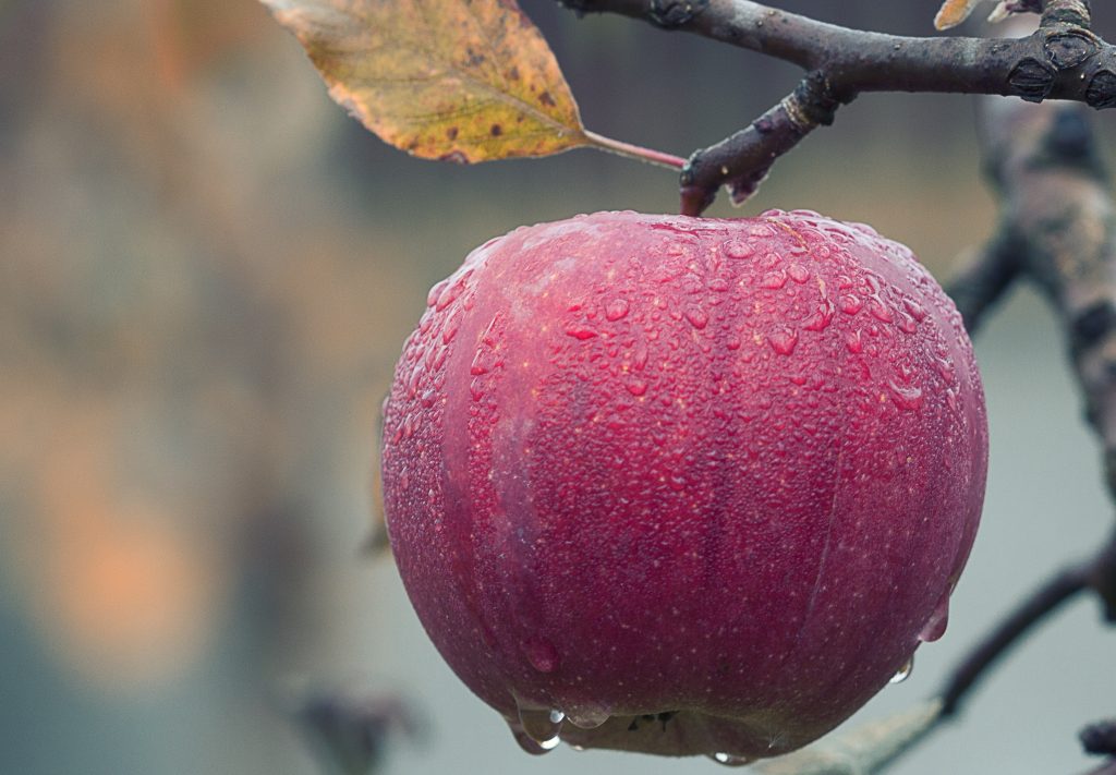 Every-Level-Wellness-Blog-Foodandmood