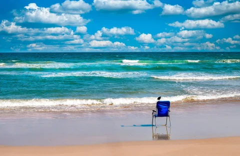 A bird sits on a blue camper chair at the ocean's edge