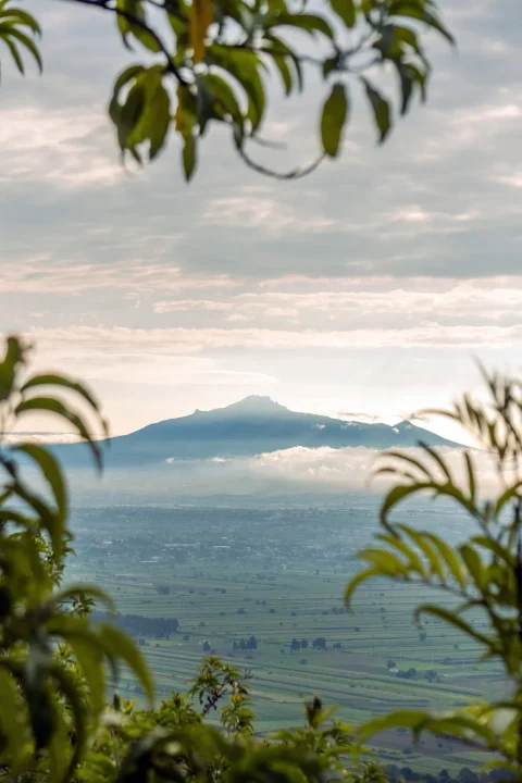 A view across a tropical hinterland to a distant mountain
