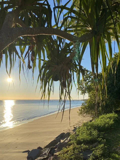 Early morning at a deserted sandy beach, tropical trees in the foreground