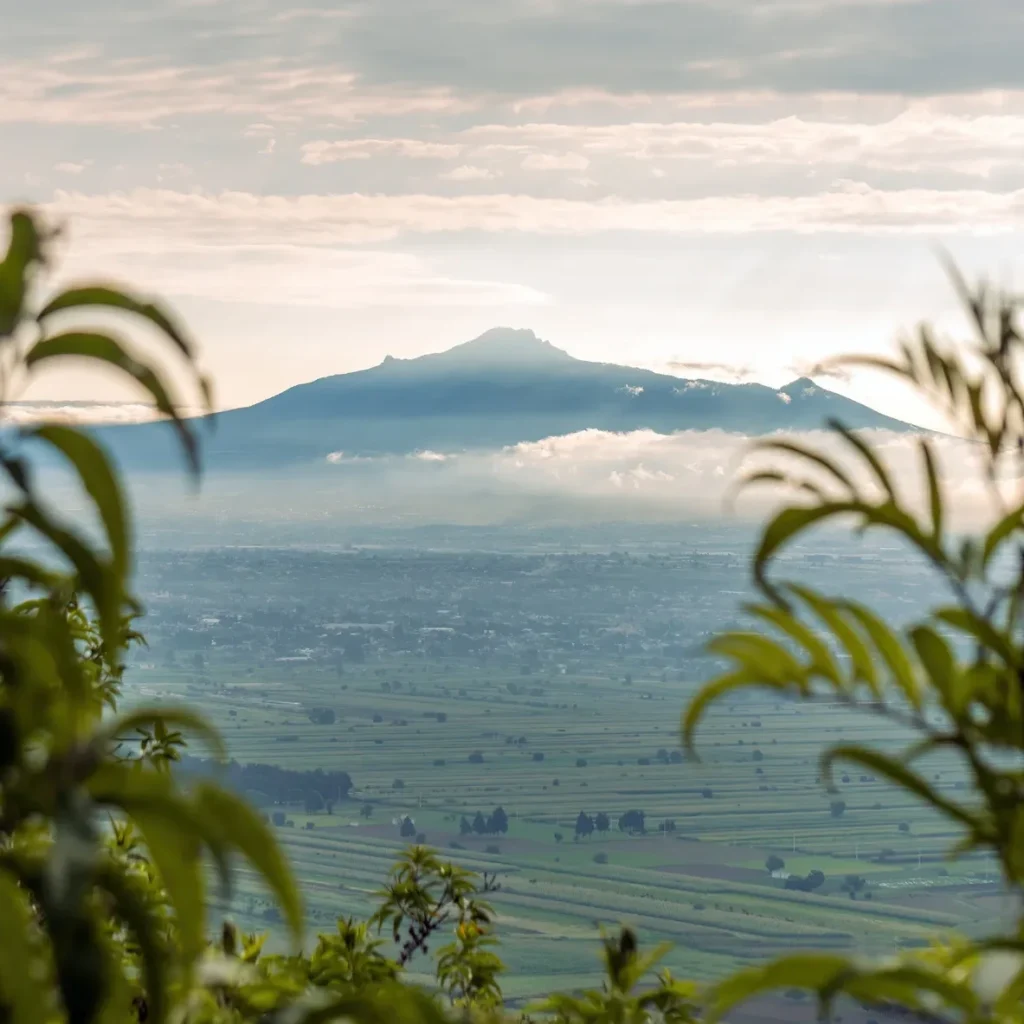 A view across a tropical hinterland to a distant mountain